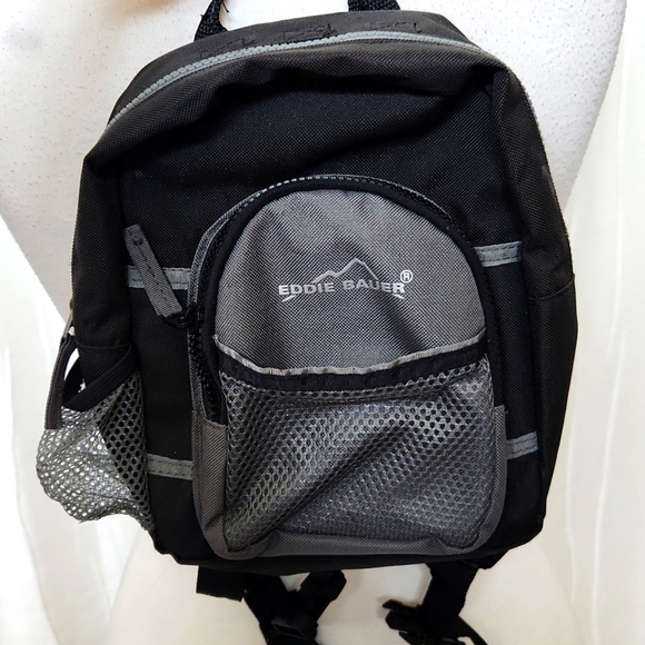 Eddie Bauer Handbags - Eddie Bauer Mini Harness Backpack